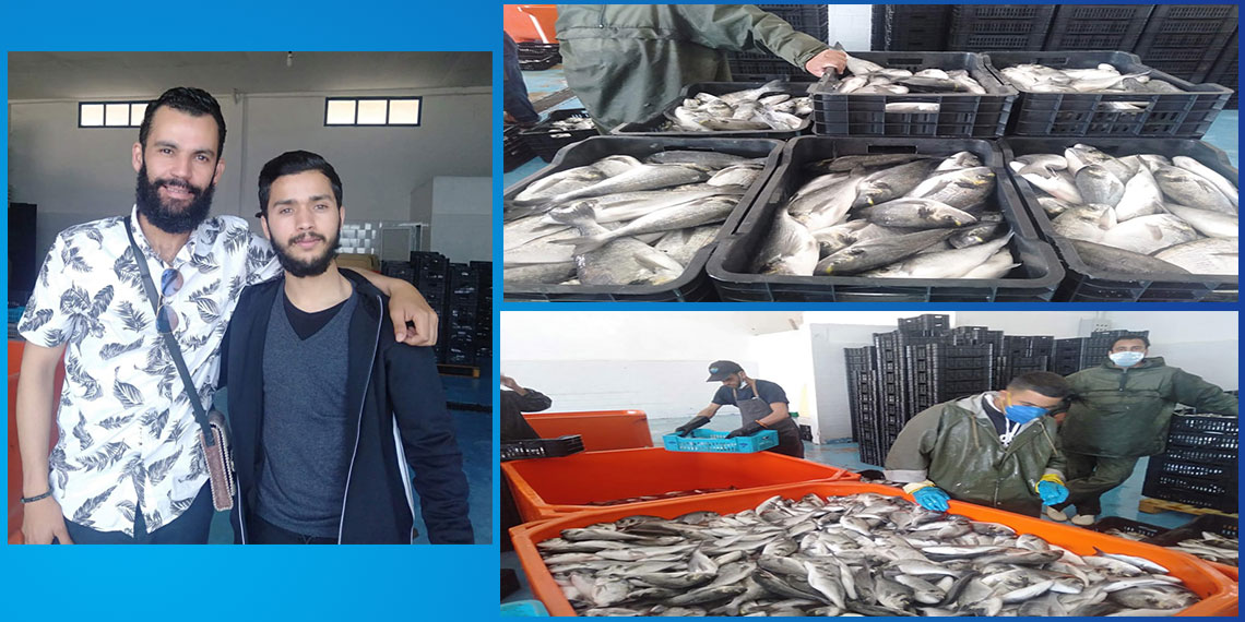 توزيع 100 كلغ من الأسماك الطازجة على العائلات المحتاجة