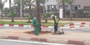 جمعية الشروق الثقافية في حملة لتنظيف شواطئ وهران