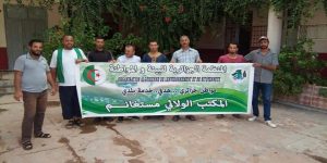 المنظمة الجزائرية للبيئة