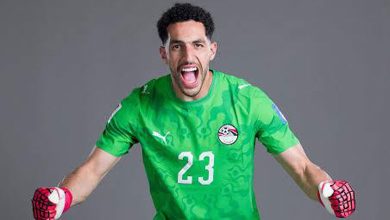 أحمد شوبير