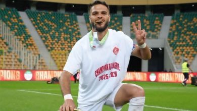 أحمد غنام