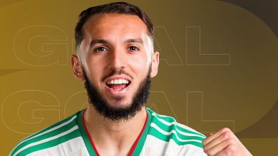 أمين غويري
