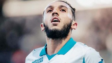 أمين غويري
