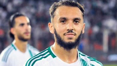 أمين غويري