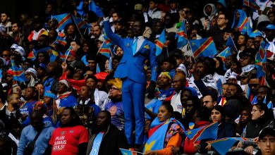 أنصار الكونغو الديمقراطية