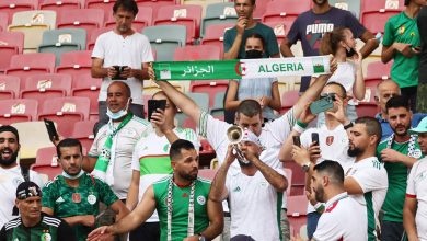 أنصار المنتخب الجزائري