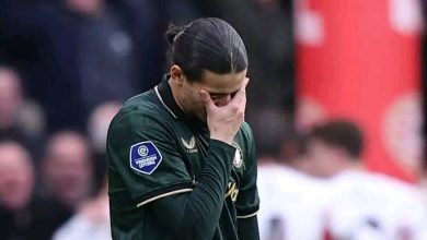 أنيس حاج موسى