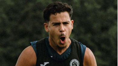 إدي زولياني