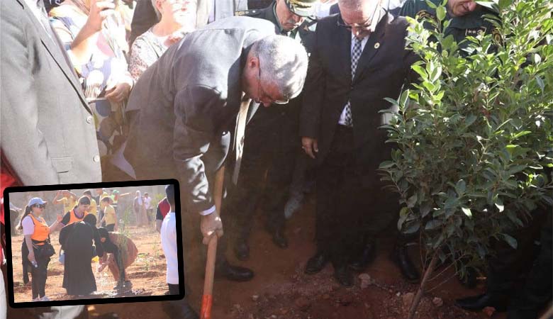 إنطلاق حملة التشجير الوطنية