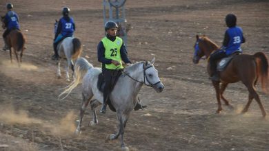 البطولة الوطنية للقدرة والتحمل