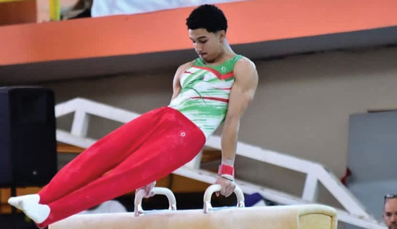 الجمباز الفني