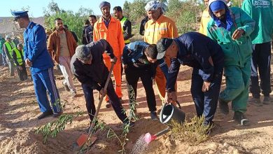 الحملة الوطنية للتشجير بسعيدة