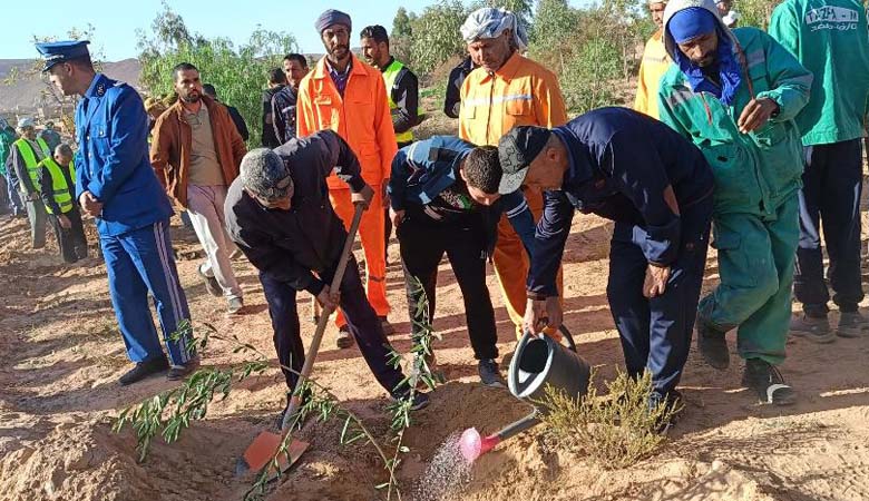 الحملة الوطنية للتشجير بسعيدة