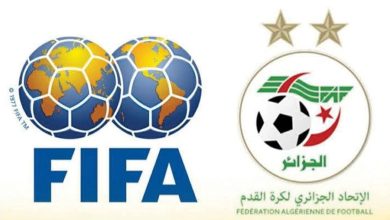 الفاف والفيفا