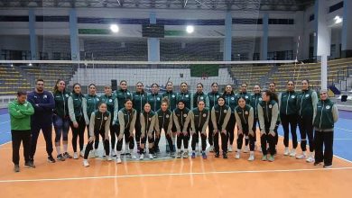 المنتخب الوطني الجزائري للسيدات في الكرة الطائرة