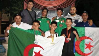 المنتخب الوطني الجزائري للفنون القتالية المختلطة