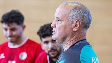 المنتخب الوطني لكرة اليد