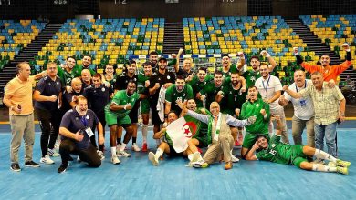 المنتخب الوطني لكرة اليد