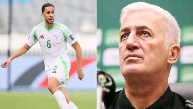 بيتكوفيتش و زروقي