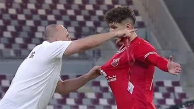 جمال بلماضي و عادل بولبينة