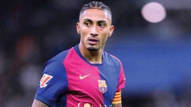 رافينها