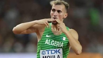 سليمان مولى