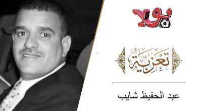 عبد الحفيظ شايب