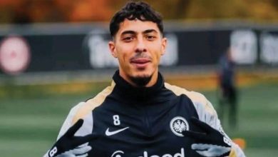 فارس شايبي