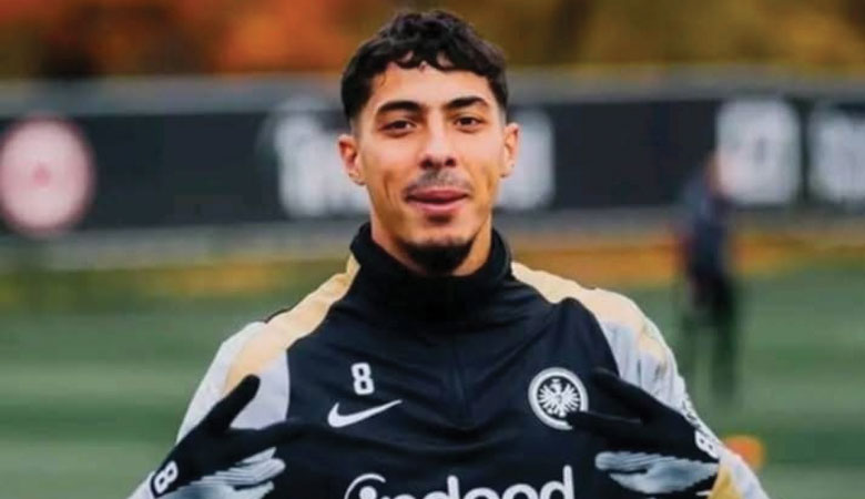 فارس شايبي