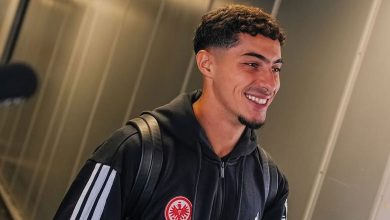 فارس شايبي