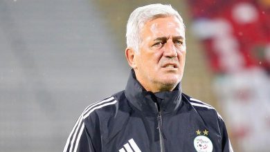 فلاديمير بيتكوفيتش