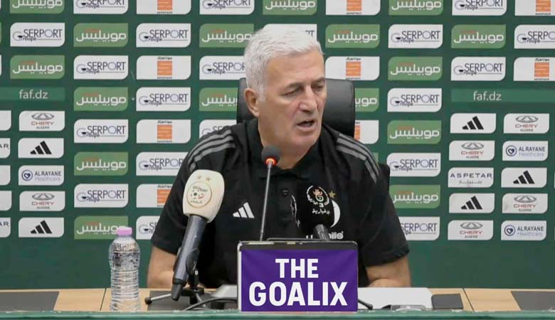 فلاديمير بيتكوفيتش