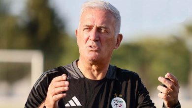 فلاديمير بيتكوفيتش
