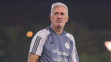 فلاديمير بيتكوفيتش