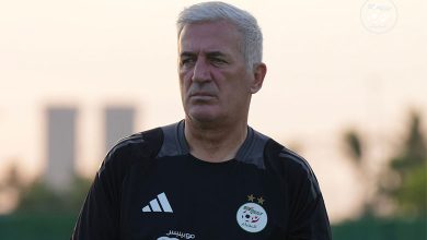 فلاديمير بيتكوفيتش