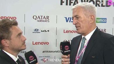 فلاديمير بيتكوفيتش