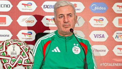 فلاديمير بيتكوفيتش