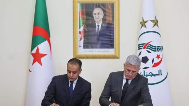 فلاديمير بيتكوفيتش