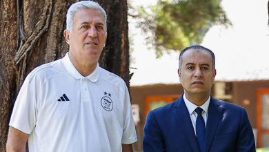 فلاديمير بيتكوفيتش و وليد صادي