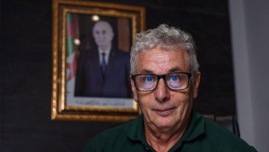 لهباب منير