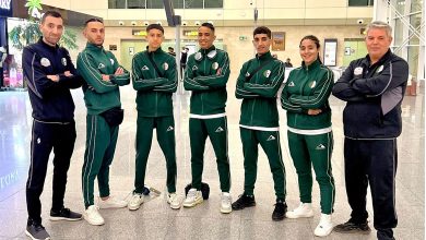 محاربو الصحراء