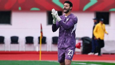 محمد الشناوي