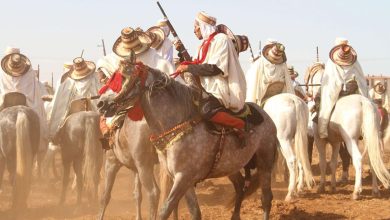 مهرجان الفانتازيا