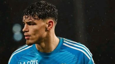 ميلفين ماستيل