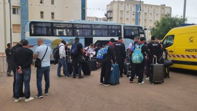 نجوم السباحة الإفريقية