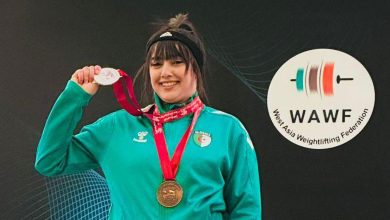 نهاد بلونيس