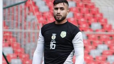 وابدي وليد