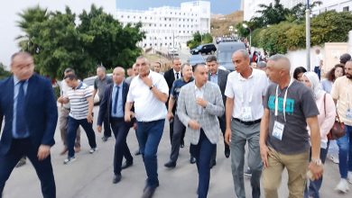 وليد صادي