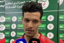 ياسر بلعريبي